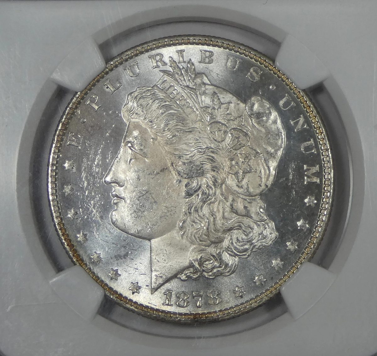 1878 8 Tail Feathers