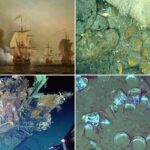 San Jose Shipwreck Coins